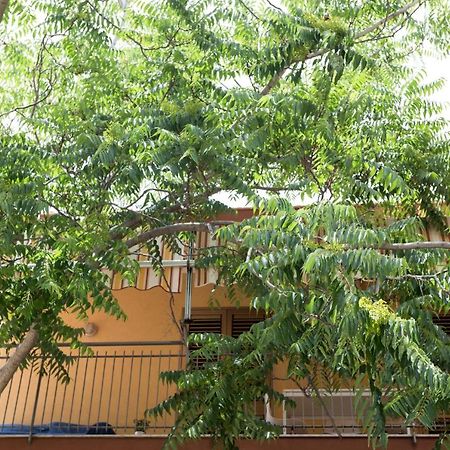 阿奇雷亚莱Casa Di Clara公寓 外观 照片