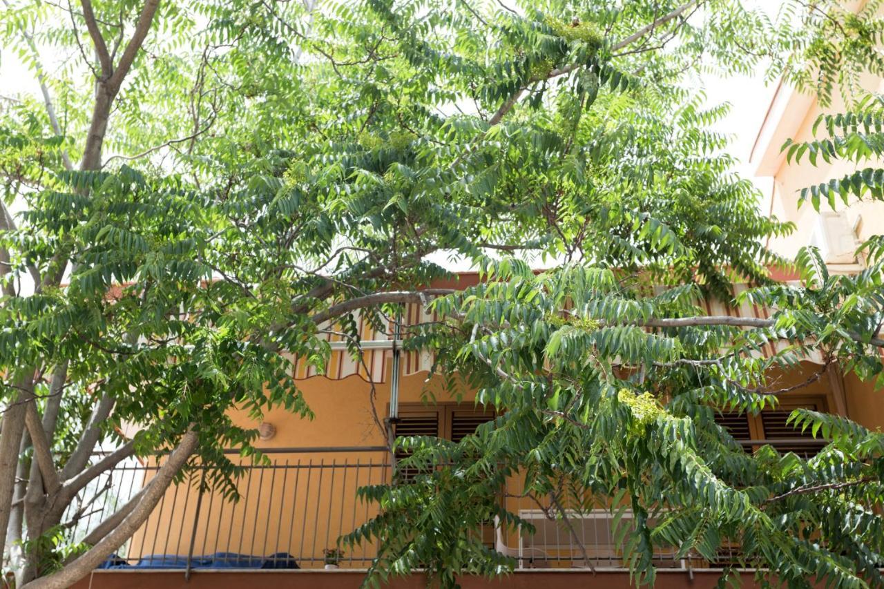 阿奇雷亚莱Casa Di Clara公寓 外观 照片